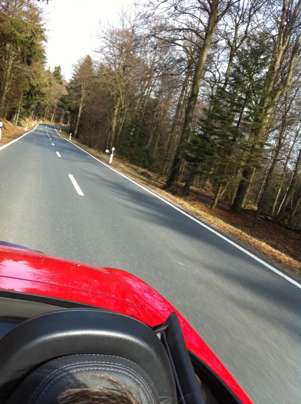 German Taunus